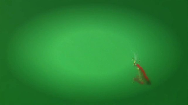 Yo- Zuri - Floating Lures