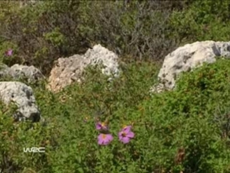 Rally Acropolis 2007 ss11-13