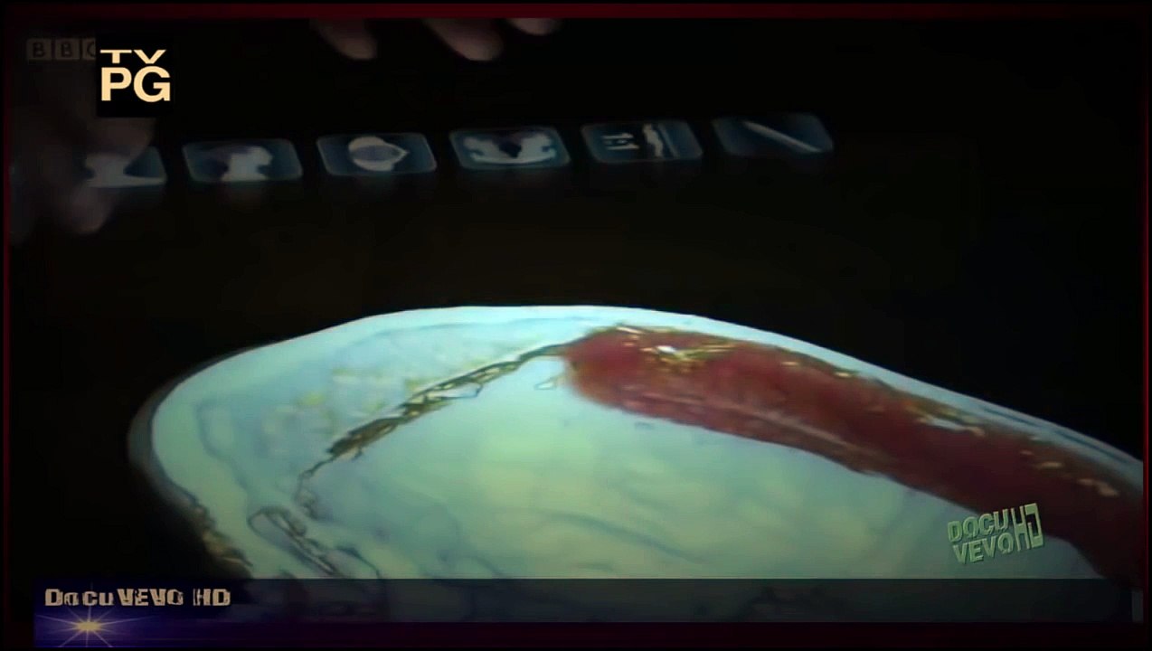 Watch Tutankhamun The Truth Uncovered National Geographic Discovery Channel History Channe