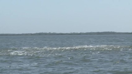 SFTV: Mullet Maulers Part 2