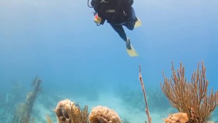 Alan Marquardt - Expert in his Field