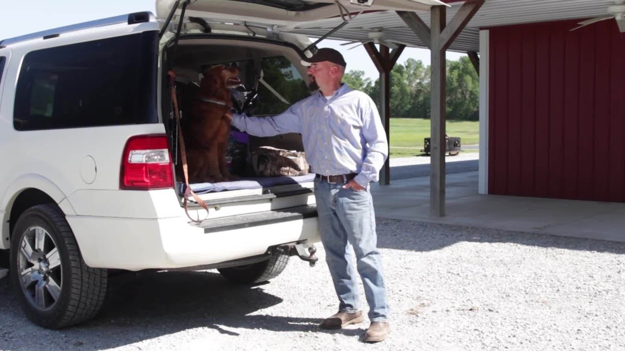 Traveling with your dog