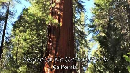 Fish America National Parks