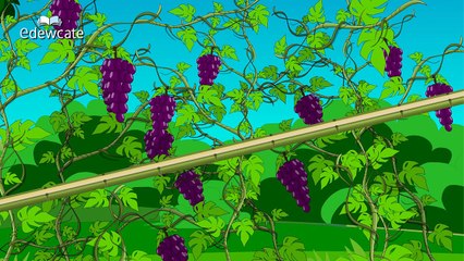 Edewcate International Rhymes - Antoshka - Russian Nursery Rhyme