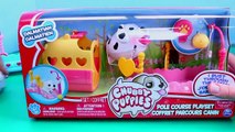 NEW Chubby Puppies Pole Course Playset & Ultimate Dog Park   Dalmatian Puppy Dog