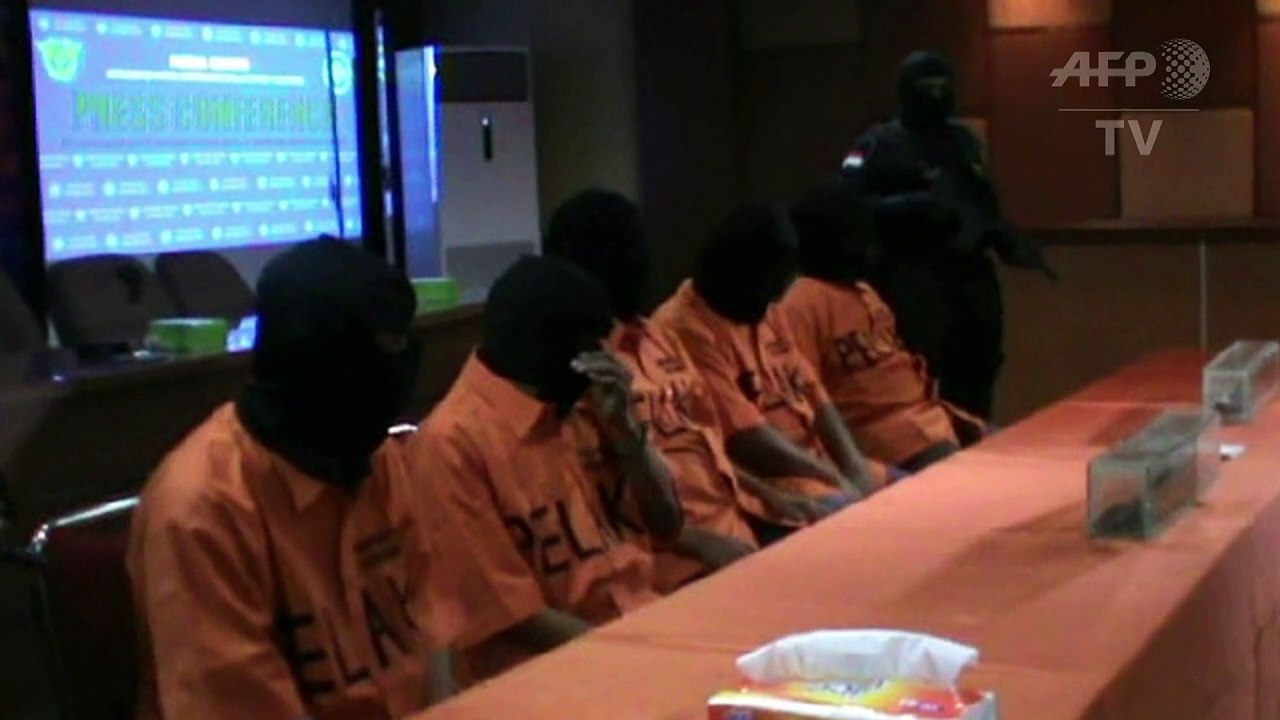 L'Indonésie intercepte 4000 bébés tortues en route pour la Chine