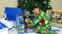 SURPRISE TOYS OPENING CHRISTMAS PRESENTS WALMART Top Toys Chosen by Kids Ryan ToysReview