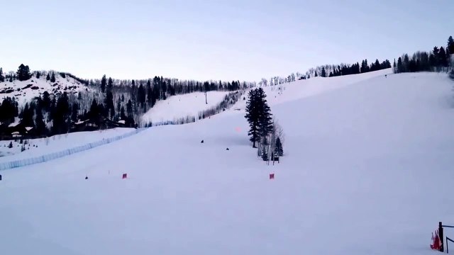 BAIL! BAIL! BAIL!