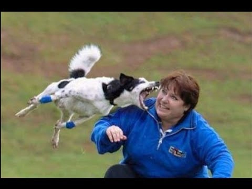 Best Funny Video 2016 | BEST FAILS | Funny Videos 2014 Epic Fail Compilation