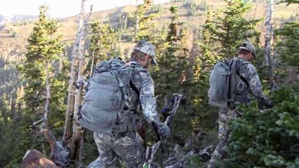 Andrew's Hunt Bull 1