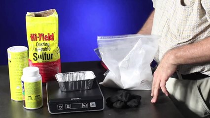 Gray Matter: Easy DIY Gunpowder