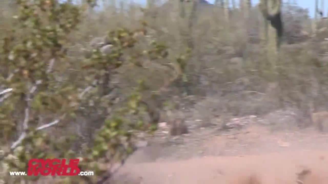 Middleweight Enduro Shootout