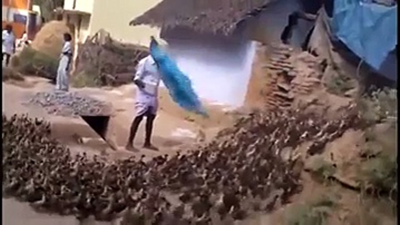 Böylesi Hiç Görülmedi! Yok Böyle Bir Şey