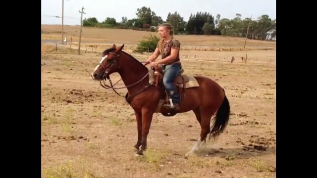 Tough Girl Gets Tossed From Horses Back