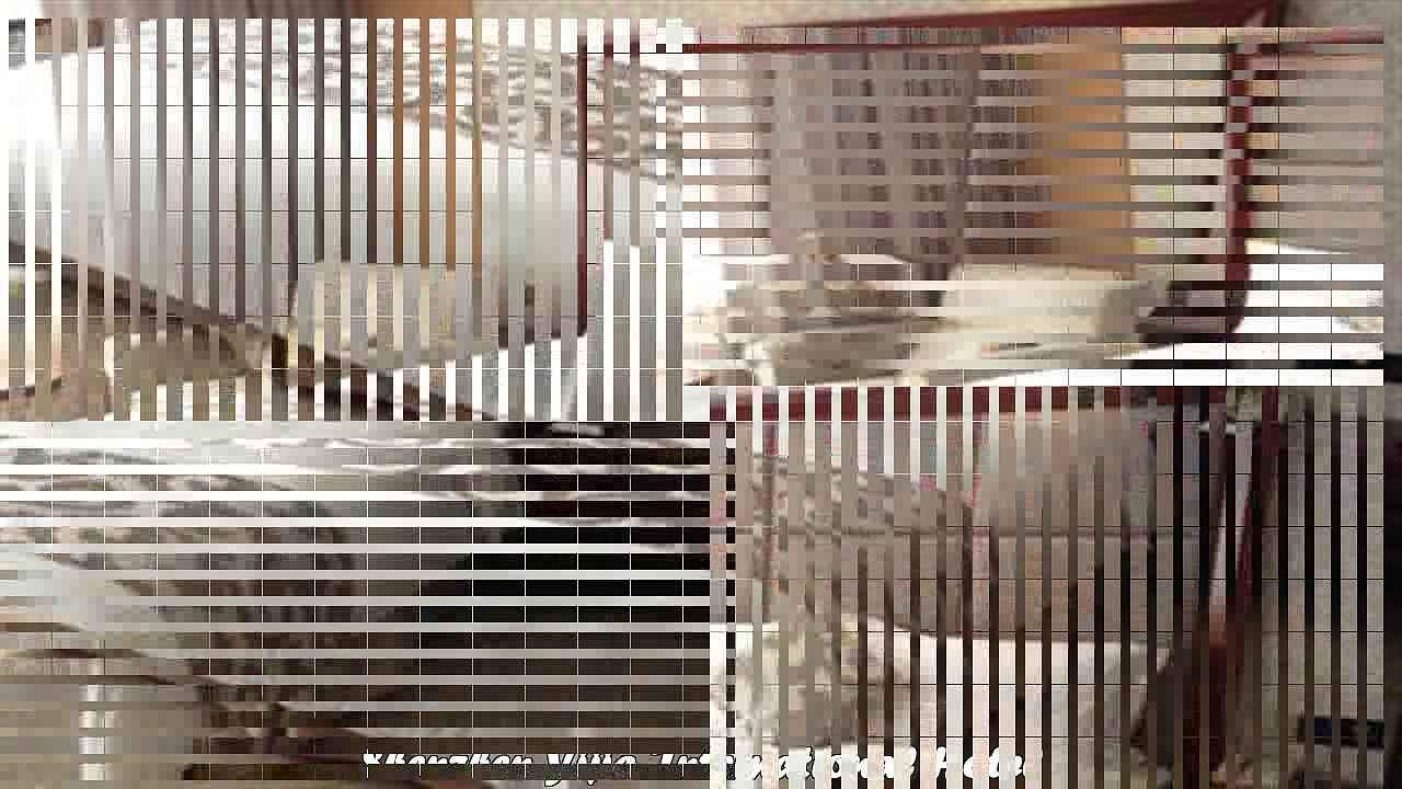 Hotels in Shenzhen Shenzhen Yijia International Hotel