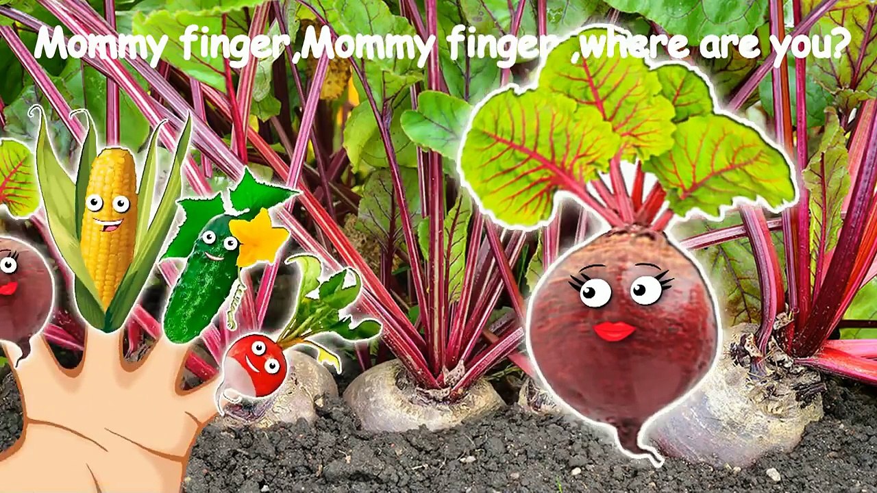 Vegetable Store Finger Family Nursery Rhymes Lyrics