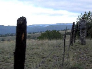 Day3 with commentary