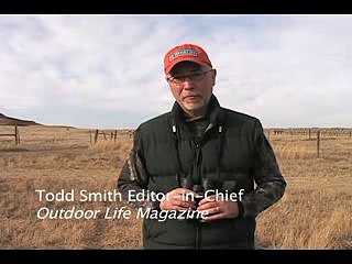 How to focus a pair of field binoculars