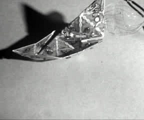 Self-Assembly