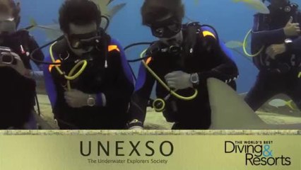 World's Best Diving and Resorts Video: UNEXSO