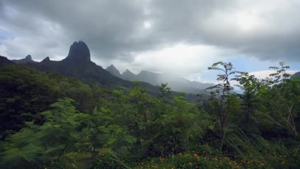 BARE The Adventure: Tahiti