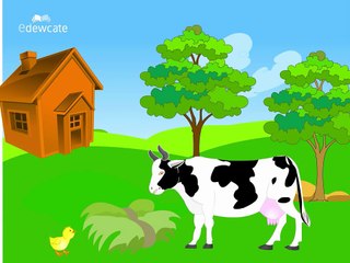 Telugu Cartoon Story | Bangaru Kodi Pilla | A Wise Little Hen