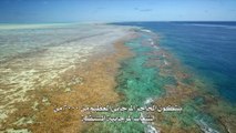 الحاجز المرجاني العظيم مع ديفيد أتينبورو الحلقه الثانيه الزوار