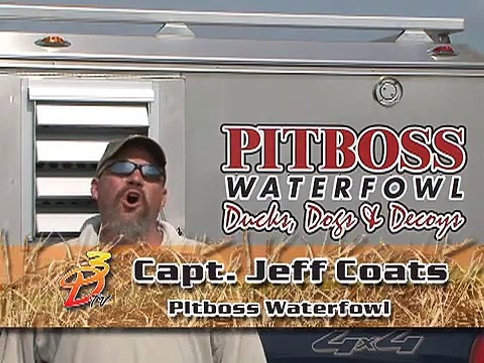 Capt. Jeff Coats on Summertime Travel with Dogs