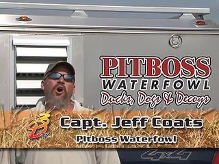 Capt. Jeff Coats on Summertime Travel with Dogs