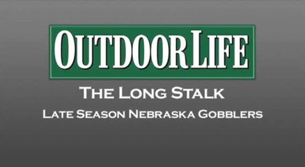 Nebraska Turkey Hunt