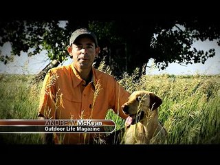 Record Quest: Field Judge a Buck