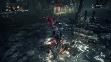 Bloodborne: BLOODLETTER Pvp