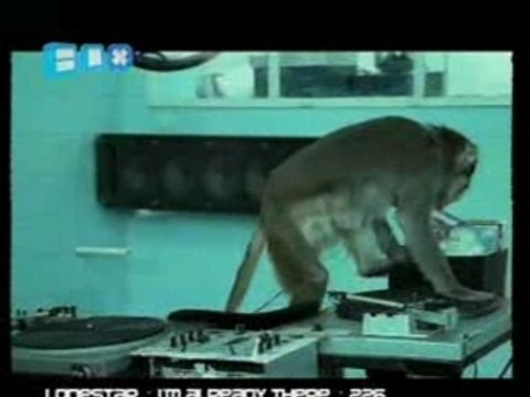 Basement Jaxx - Where's Your Head At