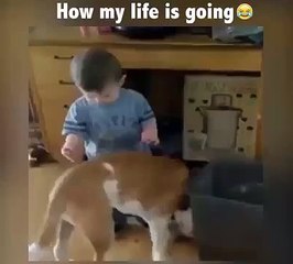 How my life is going so far  Funny Videos 2015