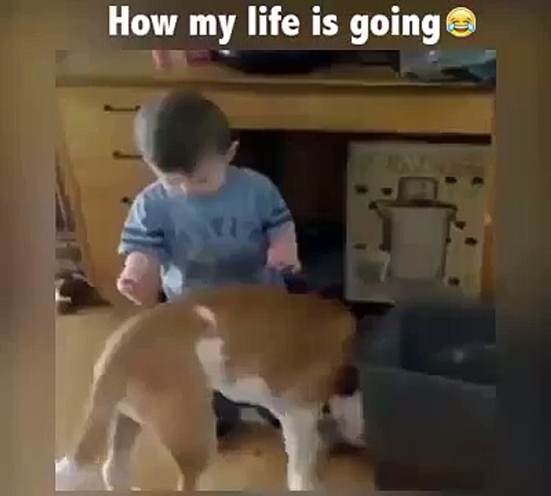 How my life is going so far  Funny Videos 2015