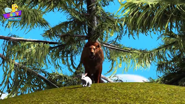 Lion Finger Family 3D | Animals Cartoons Finger Family Children Nursery Rhymes