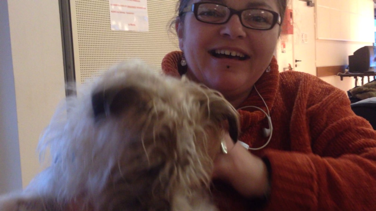 Bombe à Larmor-Plage