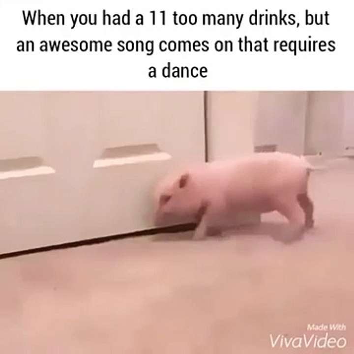 When you had too many drinks but an awesome song comes on  Funny Videos 2015