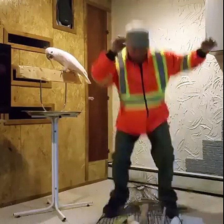 Dont f..ck with this birds cage.....