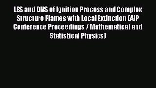 Ebook LES and DNS of Ignition Process and Complex Structure Flames with Local Extinction (AIP