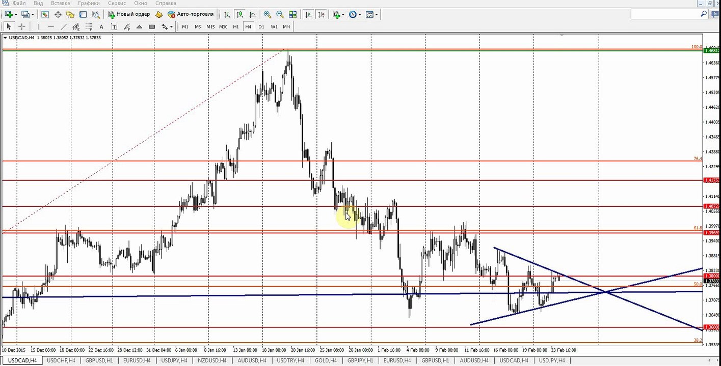 Обзор рынка Forex, без воды на 24.02.2016 от Ярослава Мудрого