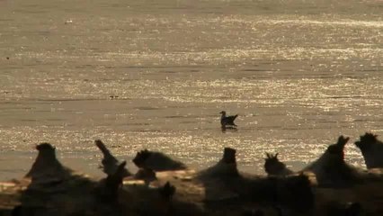 Episode 6: Heroes in Action