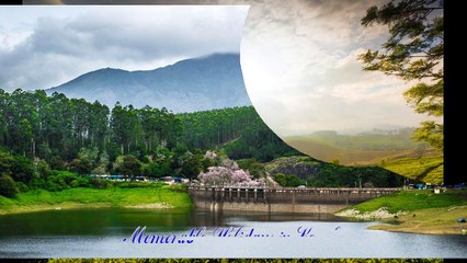 Exploring Vacation Holiday Tour Programs in Kerala