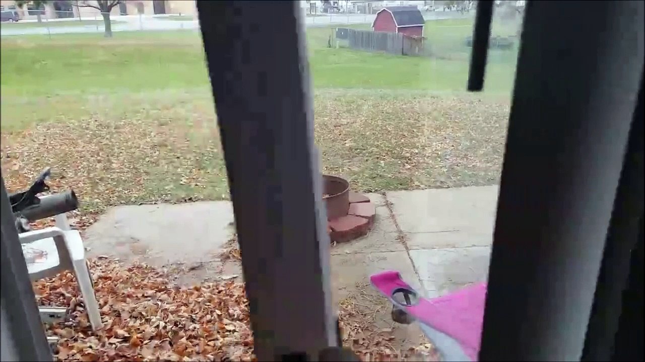 Evasion spectaculaire d'un chat attaqué par un chien...