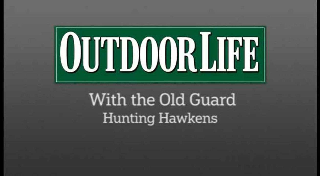 Record Quest: The Old Guard