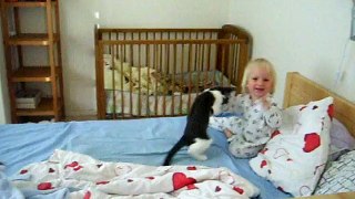 Cat vs Baby = - - Funny Cats Videos - #Funny_Animals