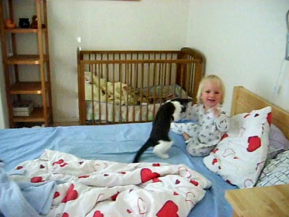 Cat vs Baby = - - Funny Cats Videos - #Funny_Animals