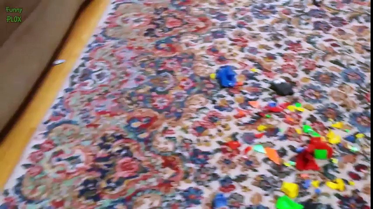 Funny Guilty Dogs Compilation 2015