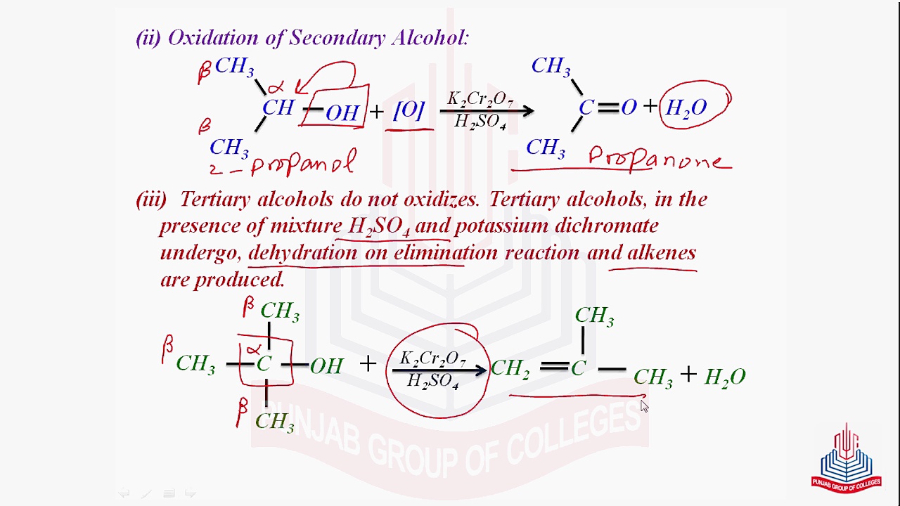 Reaction of Alcohols & Uses of Alcohol