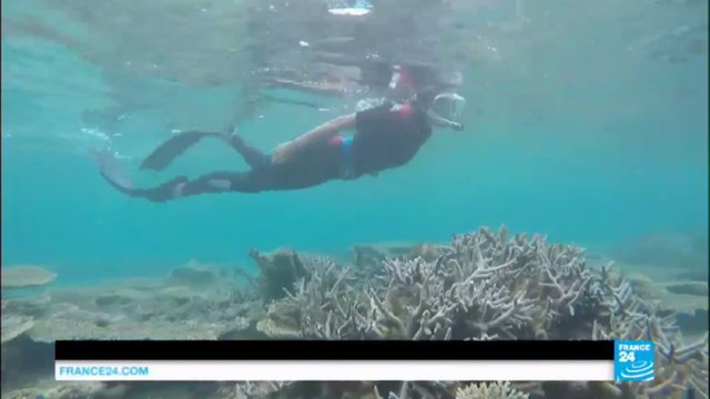 Coral reefs of Mauritius: Underwater paradise faces double environmental threat